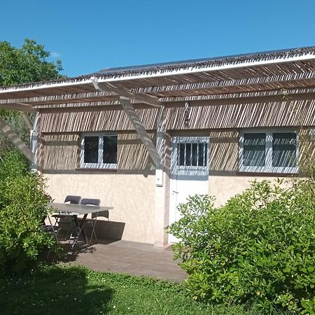 L'Aparte - Studio Les Amandiers Pignans Bagian luar foto
